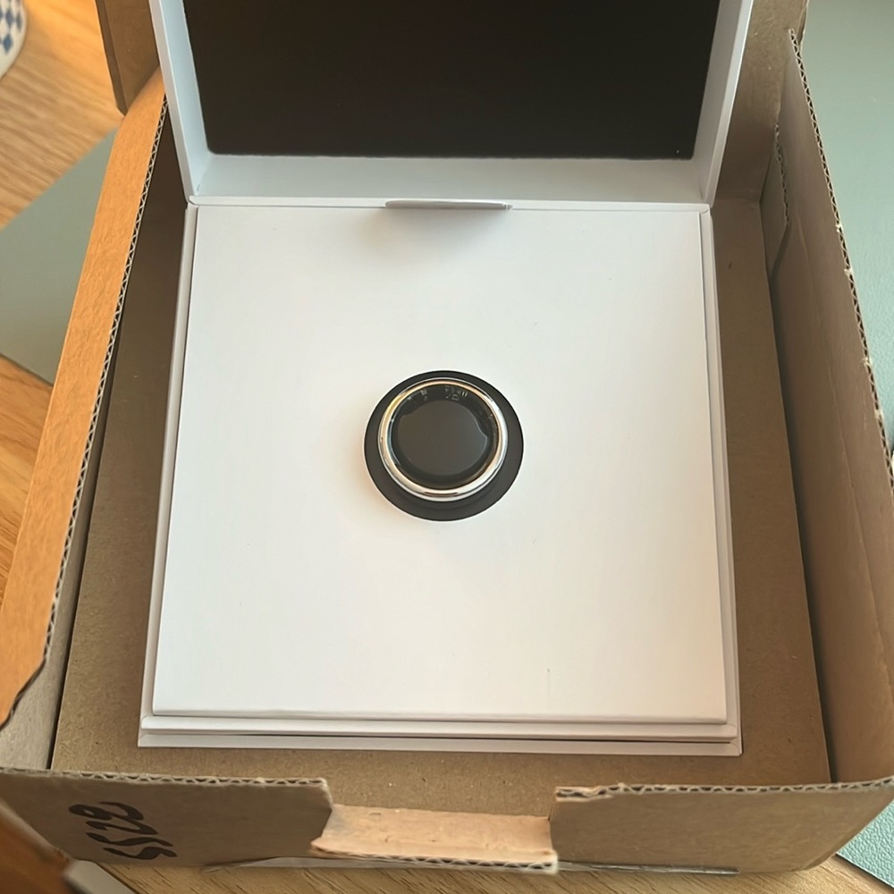 NWT Oura Gen3 Horizon Silver US8 Set